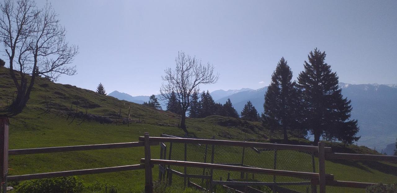 Ferienwohnungen Hochzillertal Kaltenbach Exterior foto